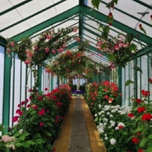 On aime toujours autant Bruxelles 🤩.#brussels #belgium #garden